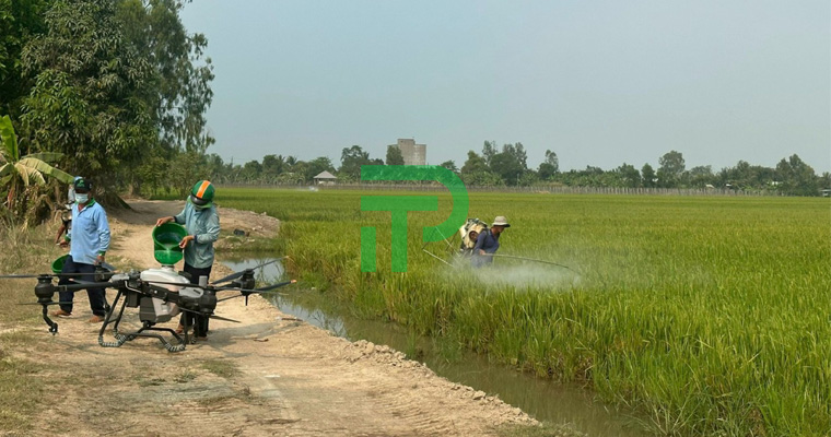 máy bay phun thuốc